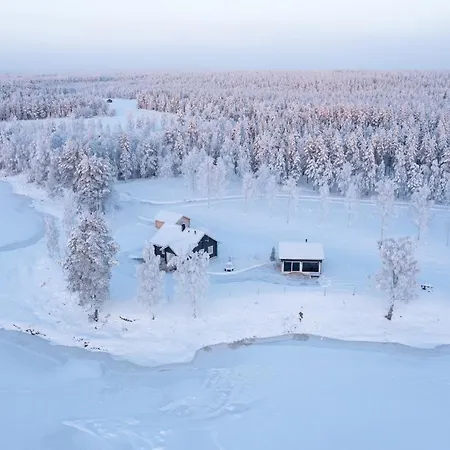 Vainio