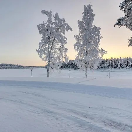 Vainio