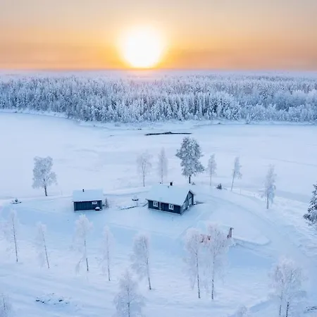 Vainio *