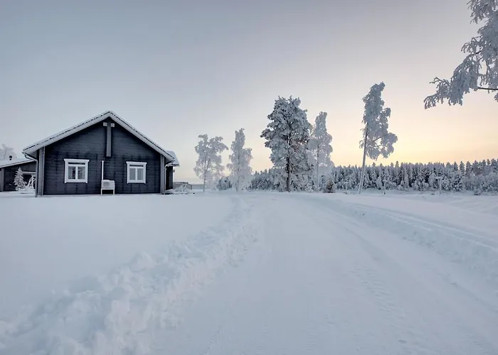 Vainio 别墅 基蒂莱