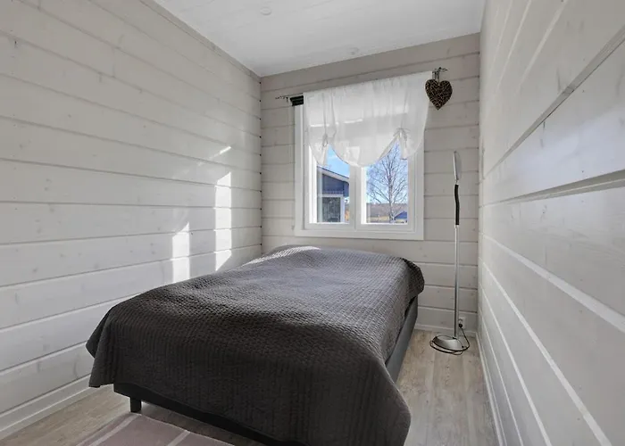 别墅 Vainio 基蒂莱