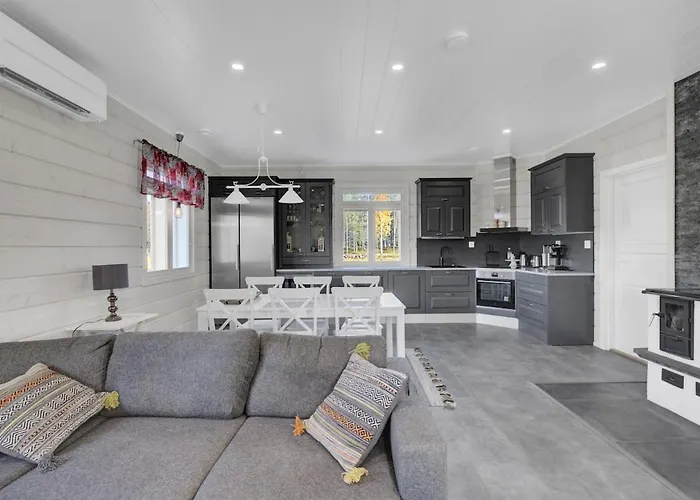 Vainio 别墅 基蒂莱