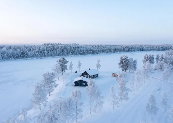 Vainio 别墅 基蒂莱